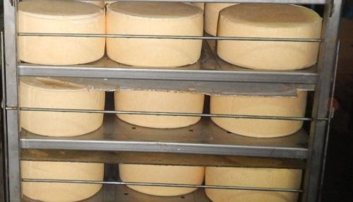 300 кг сырного продукта украли сотрудники алтайского молочного комбината
