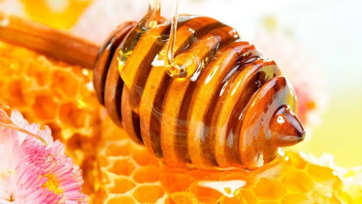 Сладкий экспорт: какие страны покупают алтайский мед?