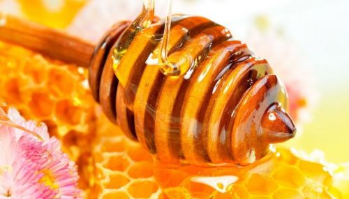 Сладкий экспорт: какие страны покупают алтайский мед?