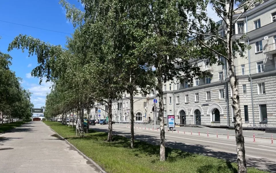 Лето возвращается: в Алтайском крае 12 августа потеплеет до 25 градусов