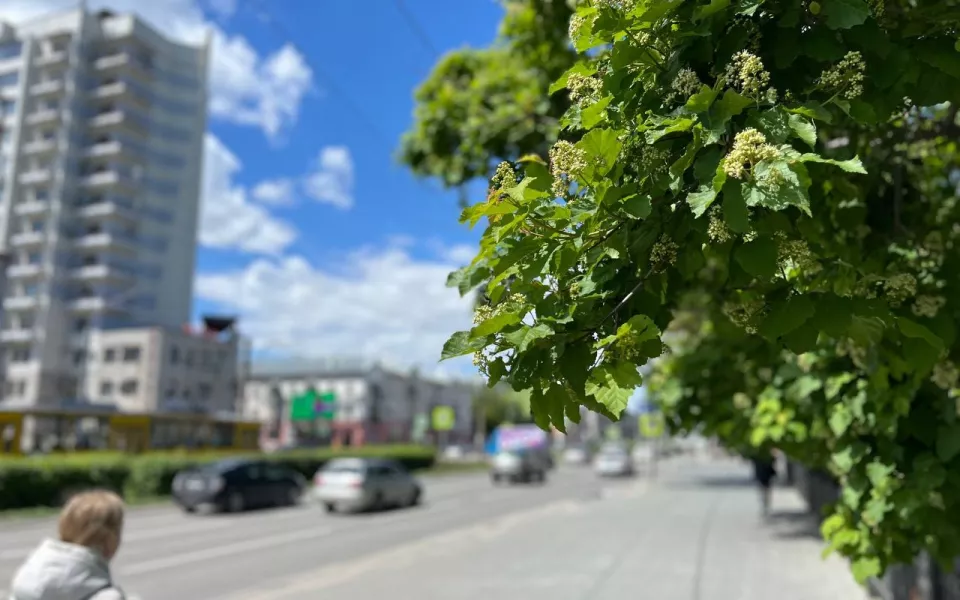 В первый день лета в Алтайский край вернется 30-градусное тепло