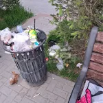 Барнаульцы жалуются на заваленную мусором зону отдыха у фонтана
