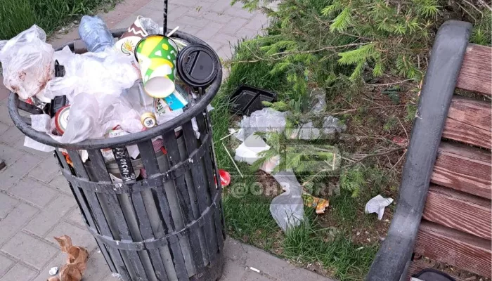 Барнаульцы жалуются на заваленную мусором зону отдыха у фонтана