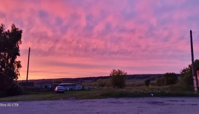Жители Алтайского края запечатлели роскошный розовый закат. Фото