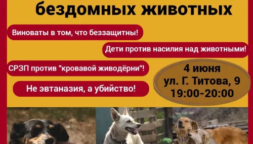 Алтайские социалисты проведут митинг против эвтаназии бездомных животных