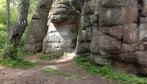 В Белокурихе популярный памятник природы очистили от творчества туристов-вандалов