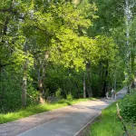 В барнаульском парке Юбилейный продолжается благоустройство: как он выглядит сейчас