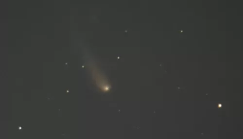 В небе над Бийском засняли движение свежеоткрытой кометы Цзыцзиньшань