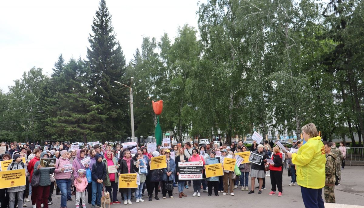 Как в Барнауле прошел митинг против легализации эвтаназии бездомных  животных - Толк 05.06.2024