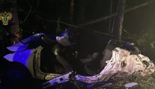 Четыре школьницы разбились во влетевшей в дерево машине в Подмосковье