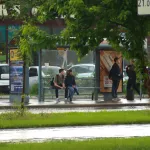 Дожди и грозы принесут прохладу в Алтайский край после полутора месяцев зноя