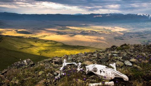 Алтайский край стал победителем премии National Geographic Traveler Awards 2018