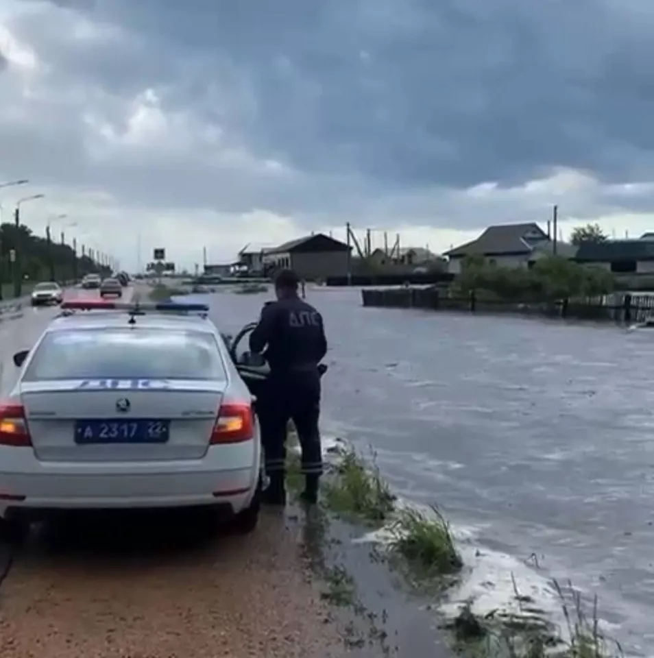 В селе Староалейское подтопило 12 домов и 22 приусадебных участка - Толк  08.06.2024