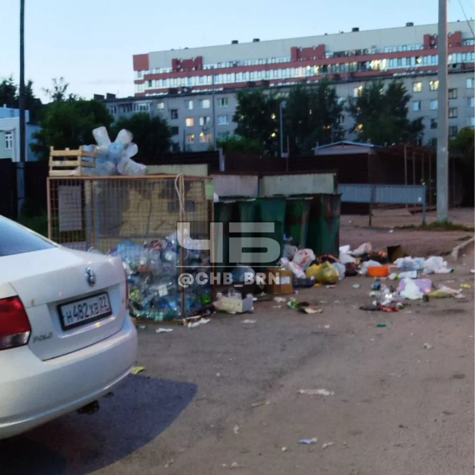 Жители Барнаула жалуются на потоп и переполненные баки в центре города -  Толк 14.06.2024