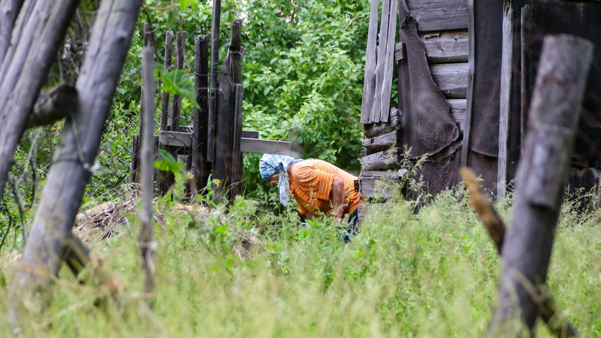 Садоводство. Дача