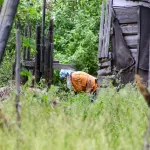 До чего дошел Прогресс: СНТ Барнаула раскололось на фоне уголовного дела о хищениях