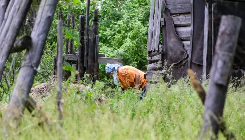 До чего дошел Прогресс: СНТ Барнаула раскололось на фоне уголовного дела о хищениях