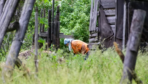До чего дошел Прогресс: СНТ Барнаула раскололось на фоне уголовного дела о хищениях