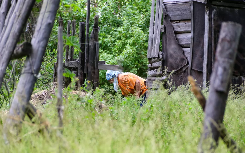 До чего дошел Прогресс: СНТ Барнаула раскололось на фоне уголовного дела о хищениях