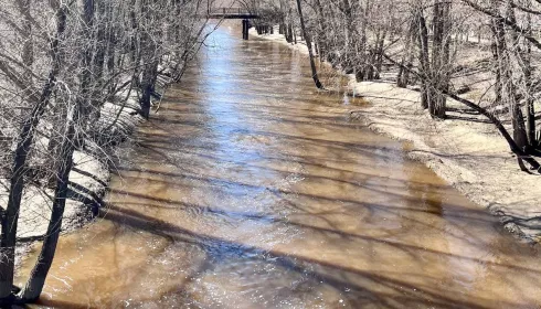 Воду из поменявшей цвет Барнаулки проверят в лаборатории