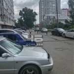 В Барнауле заметили стаю бродячих собак на улице Молодежной