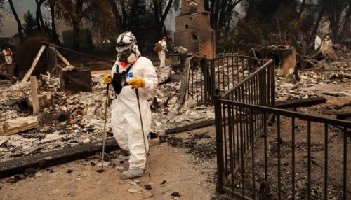 Власти Калифорнии: самый разрушительный в истории штата пожар локализован