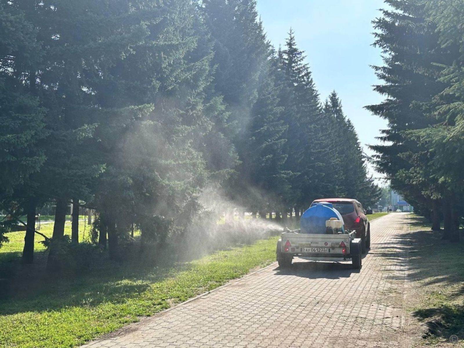 В Барнауле начали обработку общественных территорий от комаров - Толк  19.06.2024