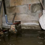 Потоп, крысы, разруха: жильцы барнаульской пятиэтажки страдают от сырости и плесени