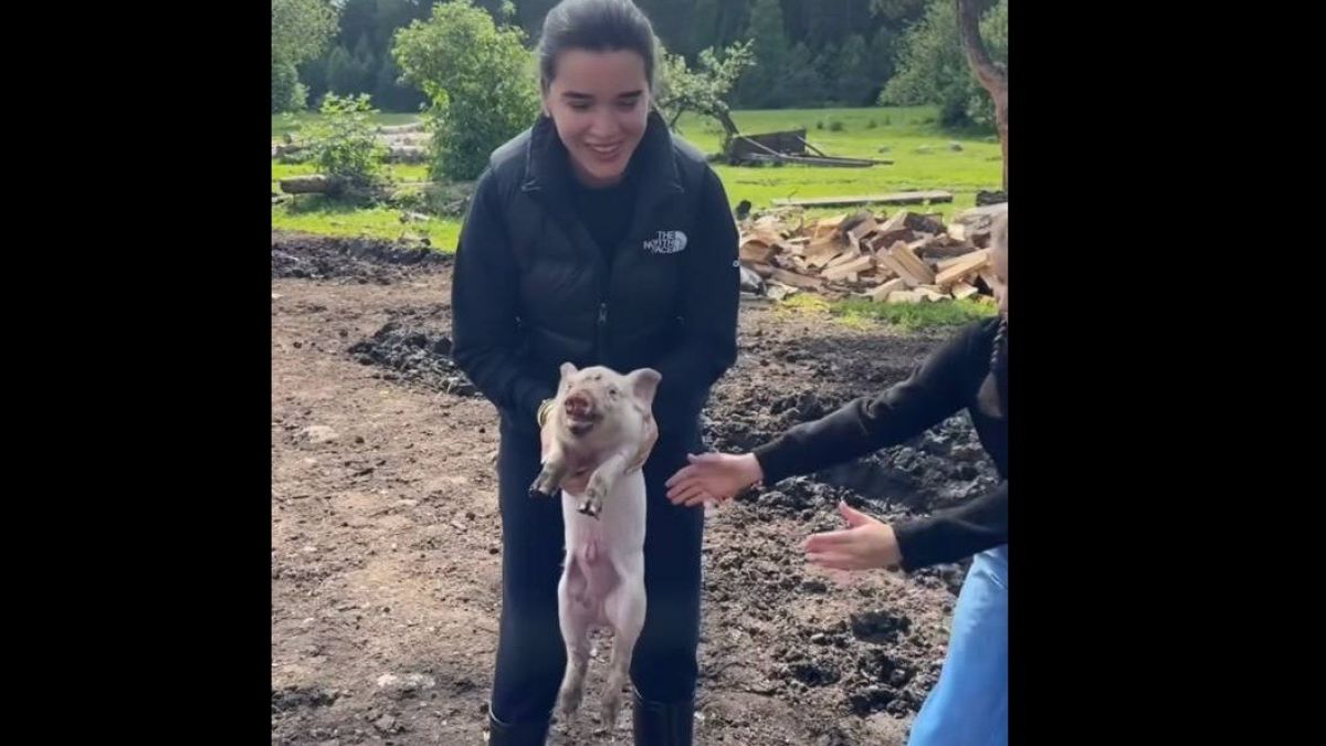 Ксения Бородина показала деревенскую жизнь на Алтае и сняла видео с  поросенком | 20.06.2024 | Барнаул - БезФормата