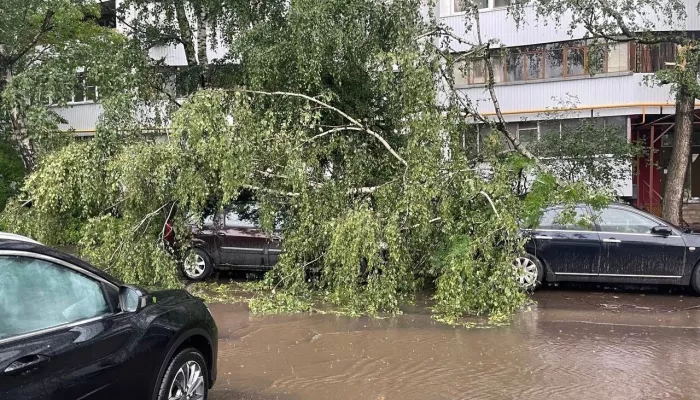 Ураган с сильнейшим ветром накрыл Москву и Подмосковье, есть погибший и пострадавшие