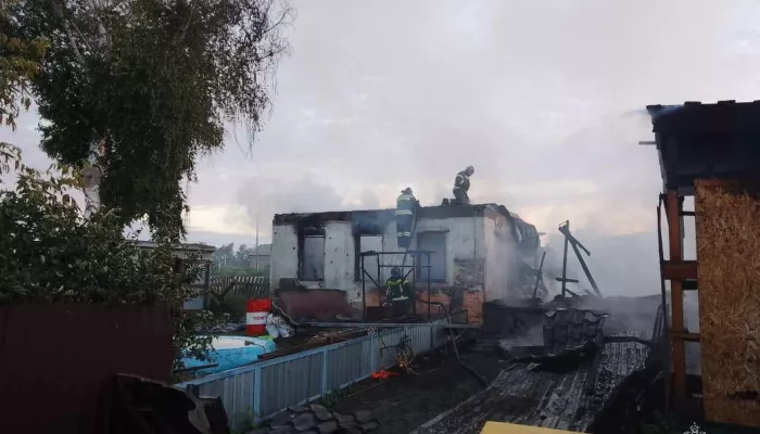 Сгорели три дома. В поселке под Бийском при пожаре погиб человек