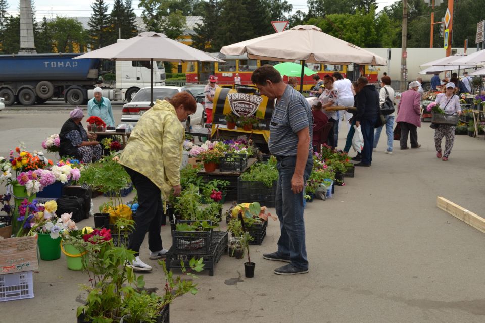 Уличная торговля в Барнауле