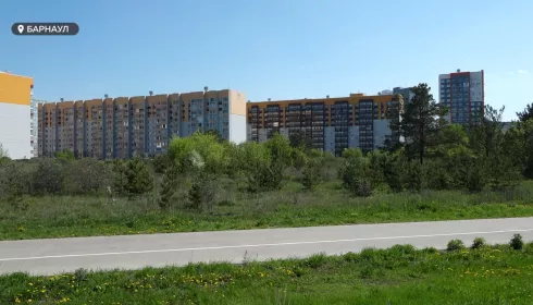 Что происходит с рынком жилья в Алтайском крае накануне окончания льготной ипотеки