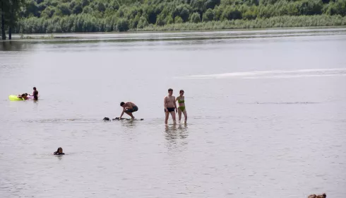 Барнаульский ученый рассказала, опасно ли купаться в Оби