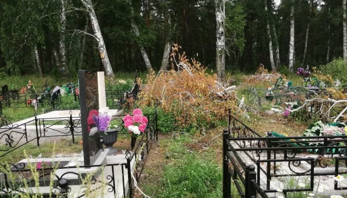 Повреждено абсолютно всё: в Барнауле могилу на кладбище завалили спиленными ветками
