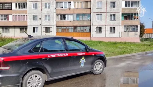В Барнауле закрыли дело об убийстве двоих детей, мать которых покончила с собой