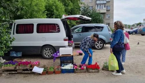 В Барнауле в ходе рейда выявили четырех торговцев-нарушителей