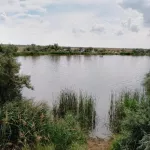 В Алтайском крае при купании на диком пляже утонул мужчина