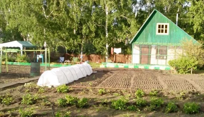 Недалеко от Барнаула за 900 тысяч рублей продают уютную дачу для отдыха