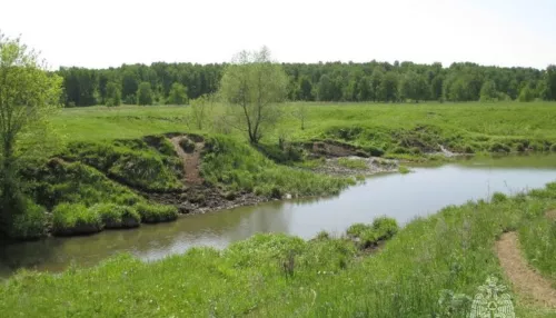 В Алтайском крае очевидцы достали из реки утонувшую женщину