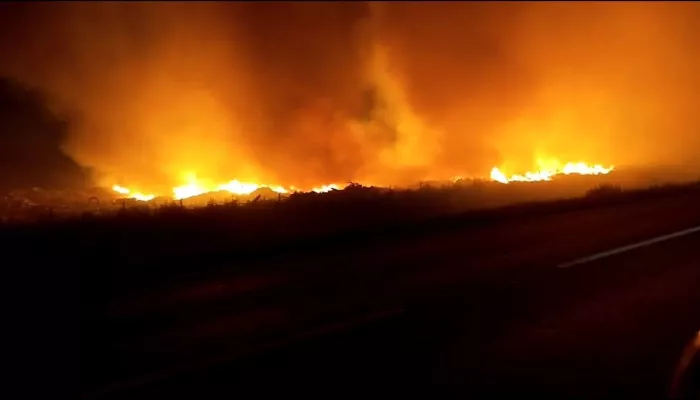 Возле Камня-на-Оби горит полигон отходов: что известно о пожаре