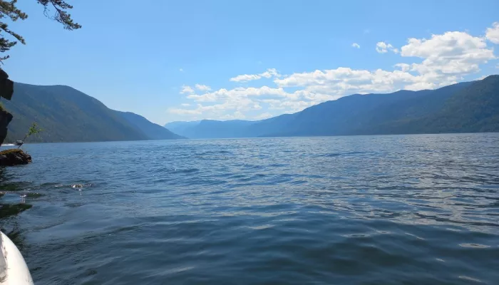 Горы, воздух и вода: что посмотреть летом на Телецком озере. Фото