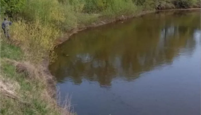 В Алтайском крае 14-летний подросток утонул в озере