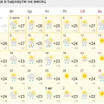 Синоптики озвучили предварительный прогноз погоды на июль в Западной Сибири