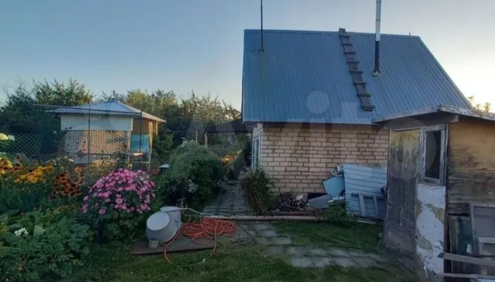В Барнауле за 900 тысяч рублей продают дачу с плодоносящим садом