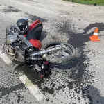 Барнаульцу назначили 2,5 года работ за смертельное ДТП в Республике Алтай