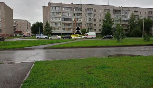 В Новоалтайске на улице Анатолия утром сбили женщину с четырехлетним ребенком