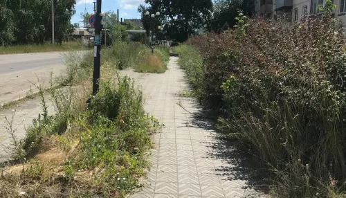 Бийчане жалуются на песок на дорогах и траву на обочинах