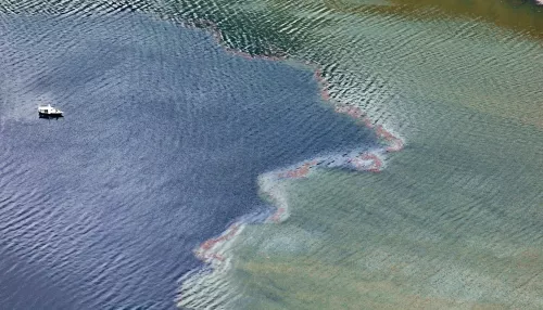 Впадающий Чулышман раскрашивает воду Телецкого озера. Фото