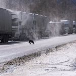 Почти 120 грузовиков встали на Военно-Грузинской дороге из-за непогоды